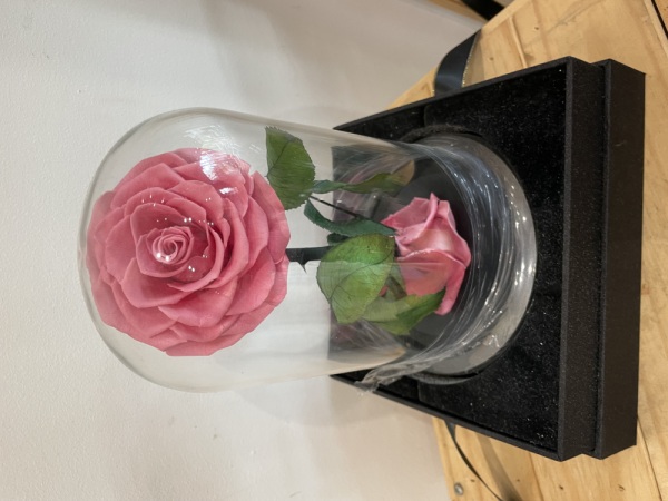 Preserved Pink Rose small 