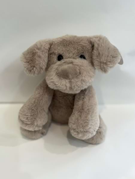 Grey Dog 