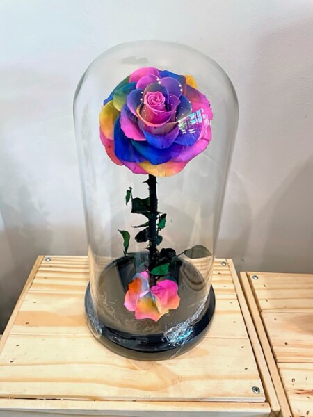 Preserved Forever Rainbow Rose small