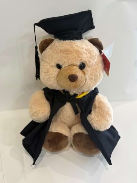Medium Graduation bear with cloak & hat 