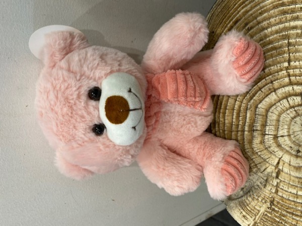 Pink Teddy Bear 