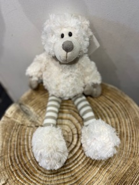 Small long legs bear 