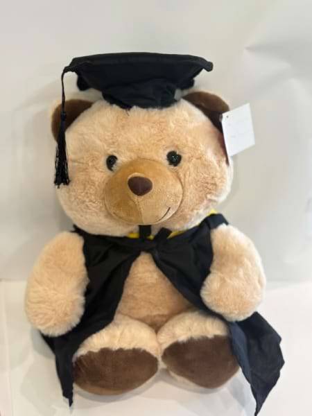 Large Graduation bear with cloak & hat 
