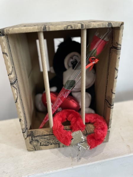 Monkey in Cage